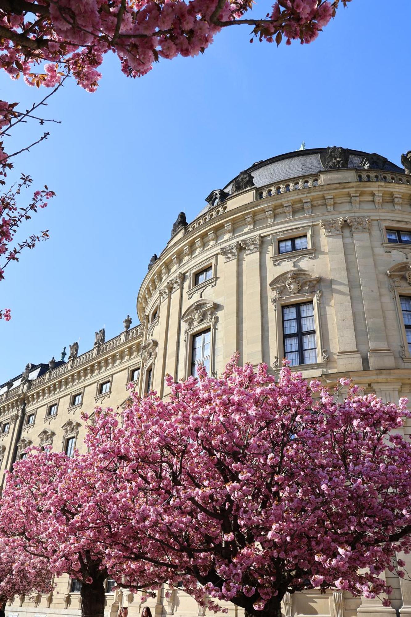 Ringpark-Ferien Appartement Würzburg Buitenkant foto